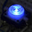 LED Tactile Button - Blue