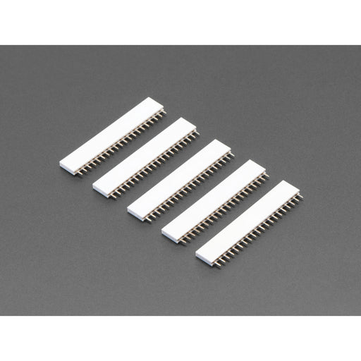 20-pin 0.1" Female Header - White - 5 pack