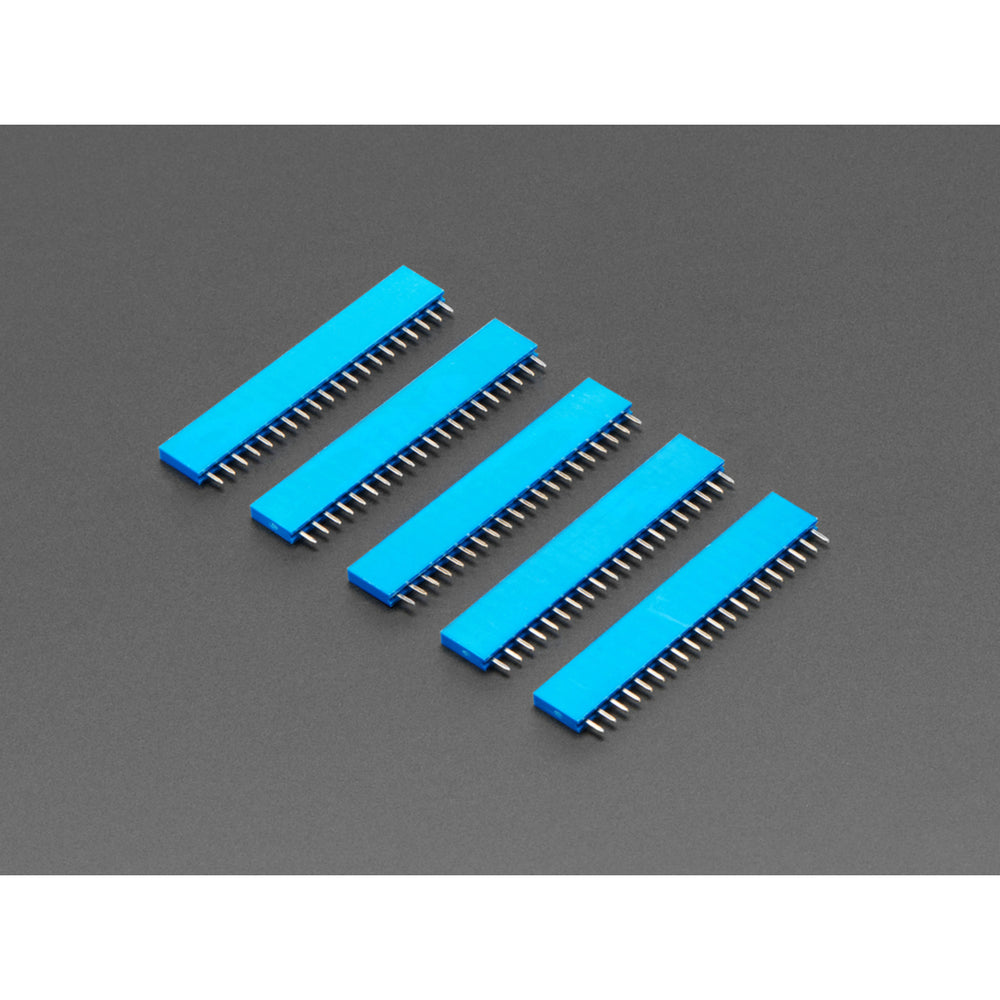 20-pin 0.1" Female Header - Blue - 5 pack