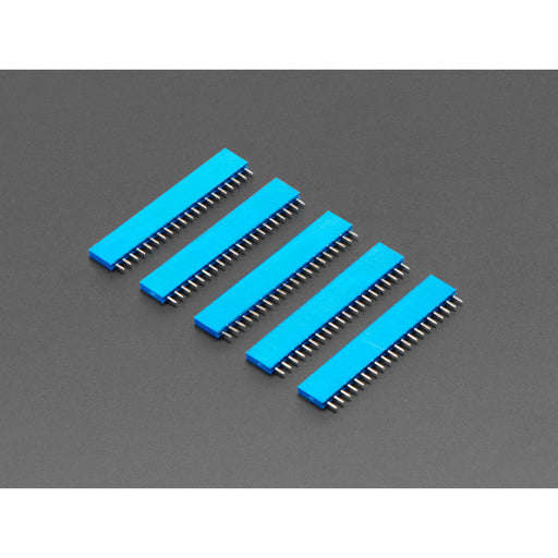 20-pin 0.1" Female Header - Blue - 5 pack