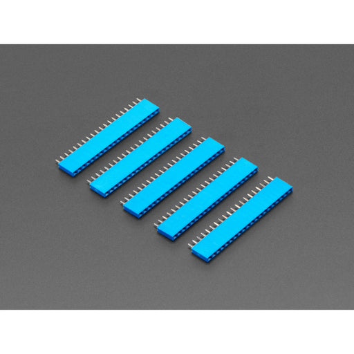 20-pin 0.1" Female Header - Blue - 5 pack