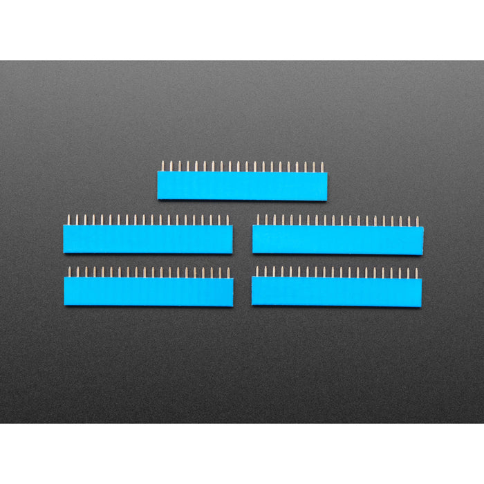 20-pin 0.1" Female Header - Blue - 5 pack