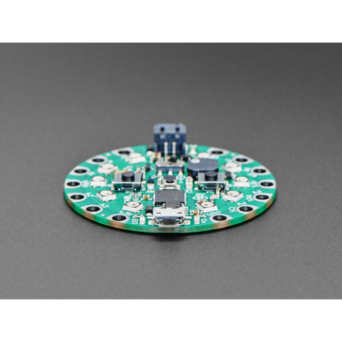 Circuit Playground Express for 4-H