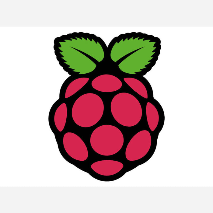 Raspberry Pi® - Sticker