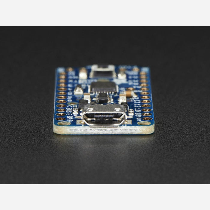 Adafruit Pro Trinket - 5V