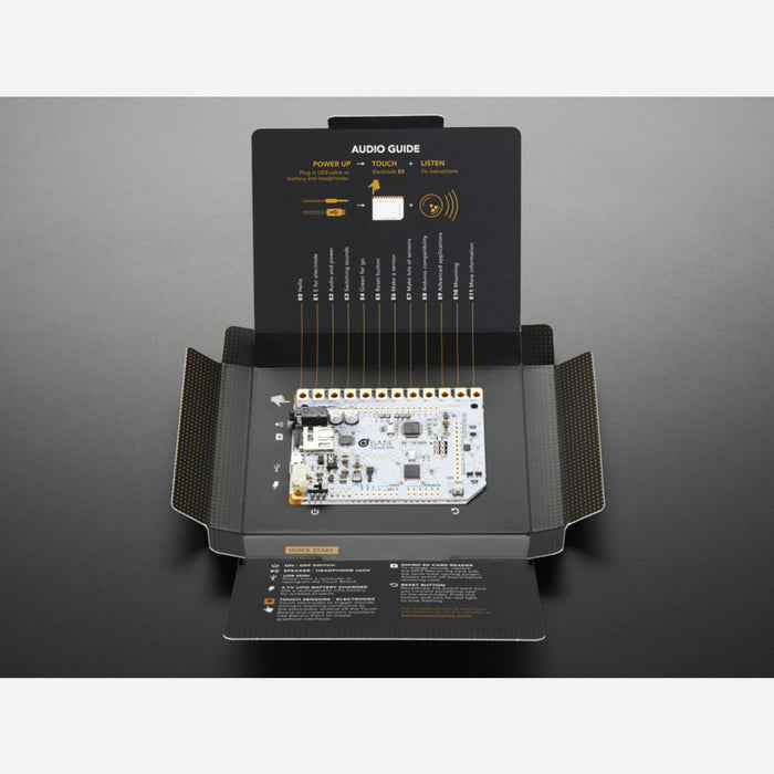 Bare Conductive Touch Board