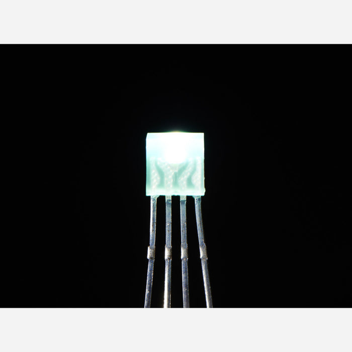 Diffused Rectangular 5mm RGB LEDs - Pack of 10