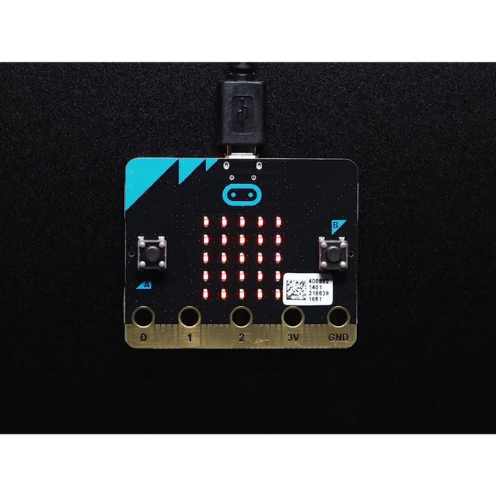 BBC micro:bit Go Bundle