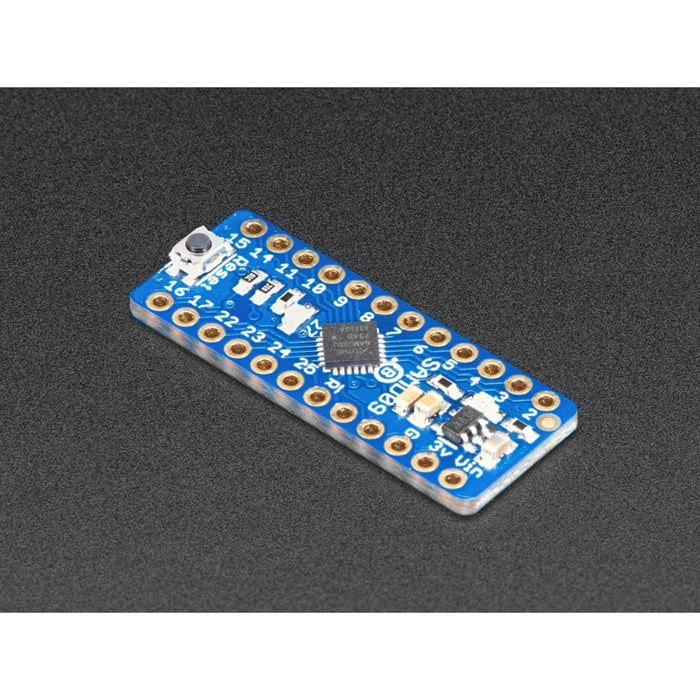 Adafruit ATSAMD09 Breakout with seesaw