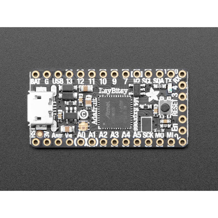 Adafruit ItsyBitsy M4 Express featuring ATSAMD51