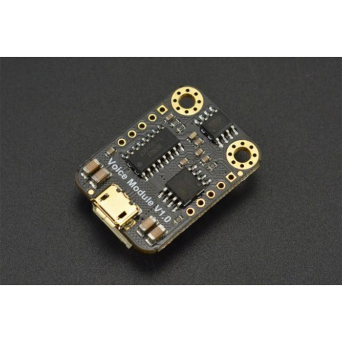 Gravity: UART MP3 Voice Module