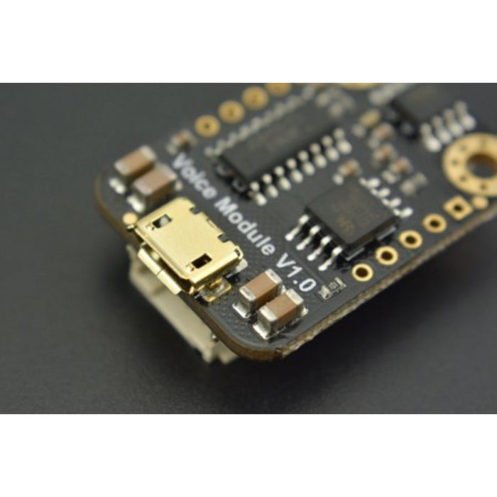 Gravity: UART MP3 Voice Module