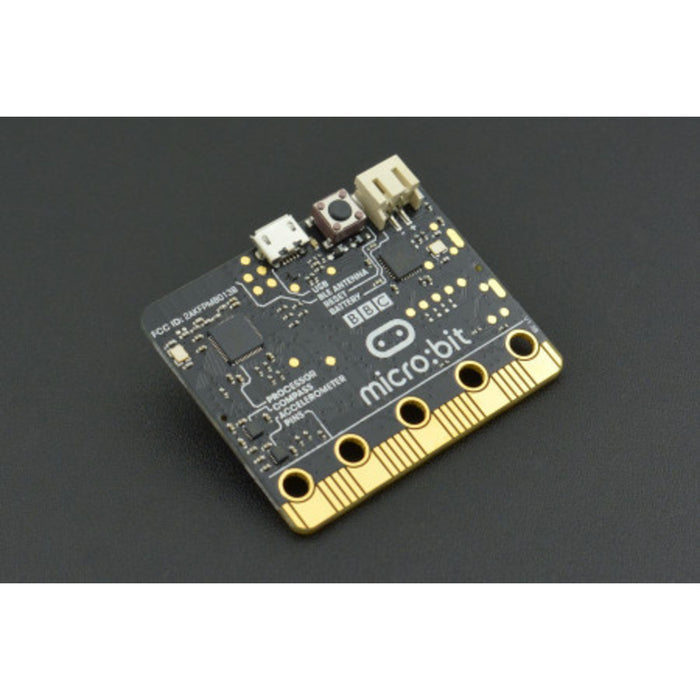 micro:bit Go (On-the-go Starter Bundle)