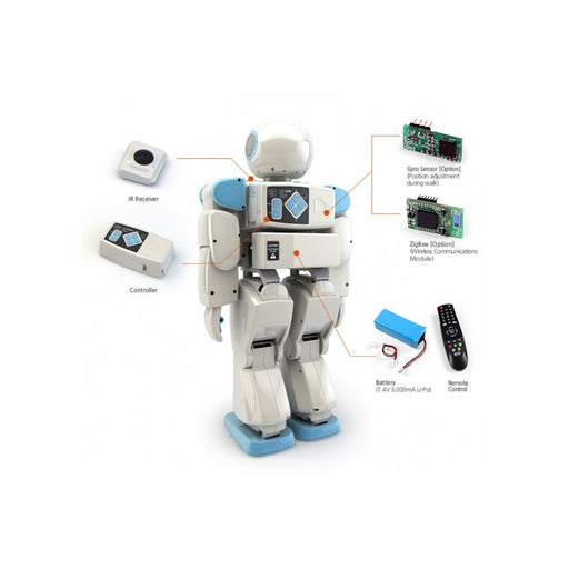 HOVIS Eco Plus - 20 DOF Humanoid Robot