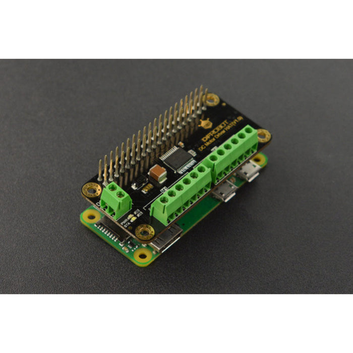 DC Motor Driver HAT(V1.0)