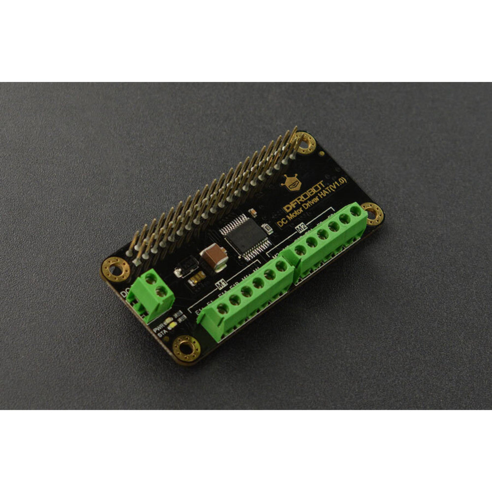 DC Motor Driver HAT(V1.0)