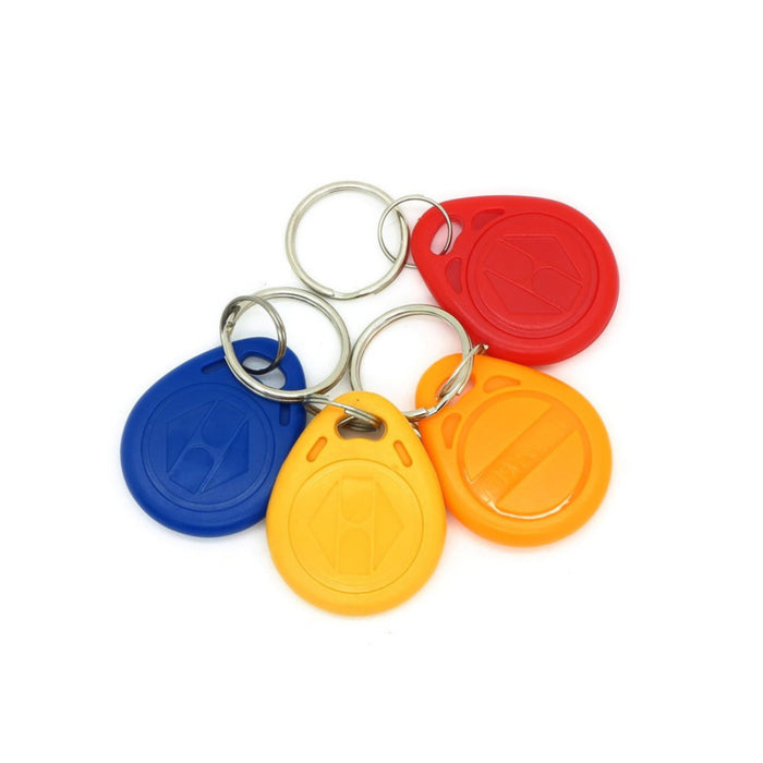 EM4100 125khz RFID Key Tag