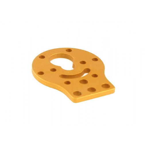 DC Motor-37 Bracket A-Gold(Pair)