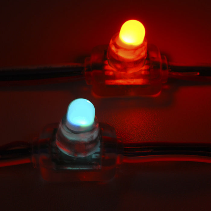 RGB LED Chain - 20 LED Addressable