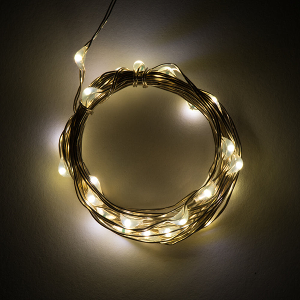 Fairy Lights - Warm White (2.5m)