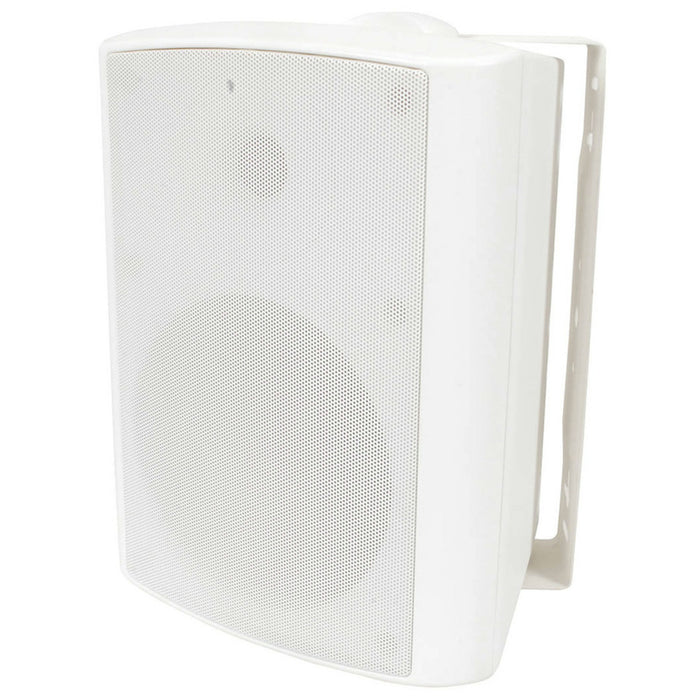 6.5" Indoor/Outdoor Speaker