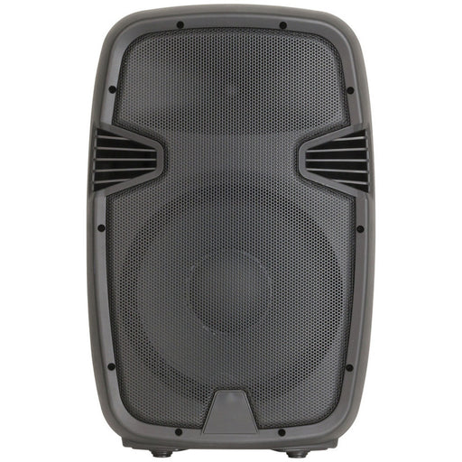 12" PA Party Speaker