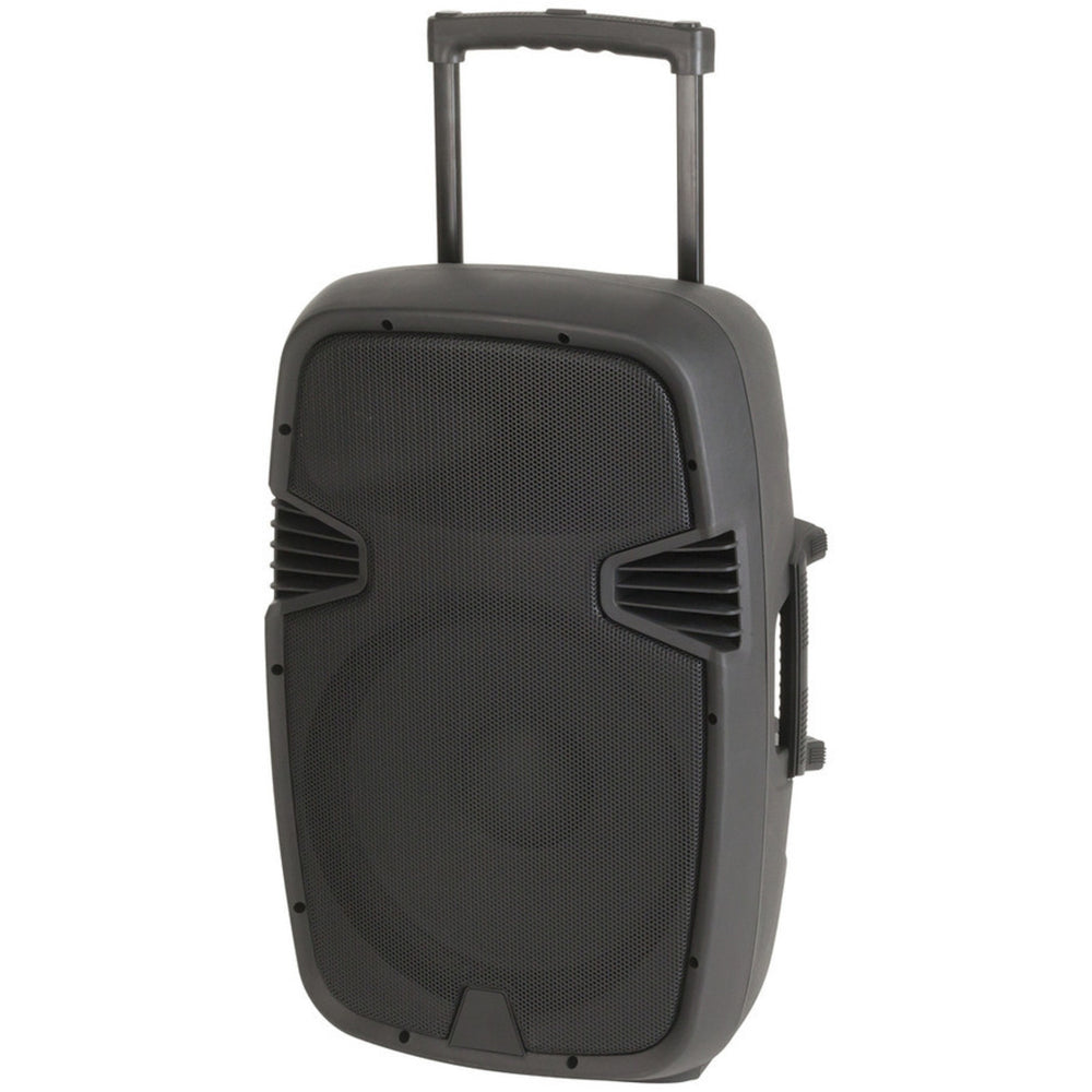 12" PA Party Speaker