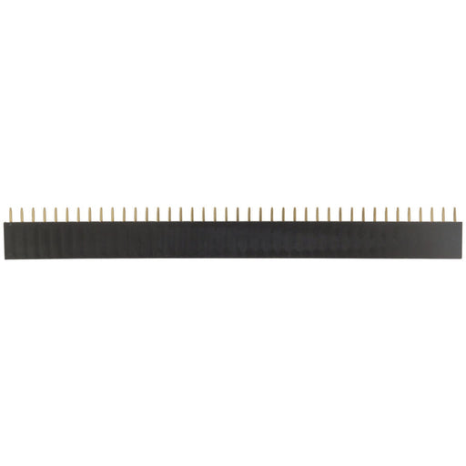 40 Pin Female Header Strip