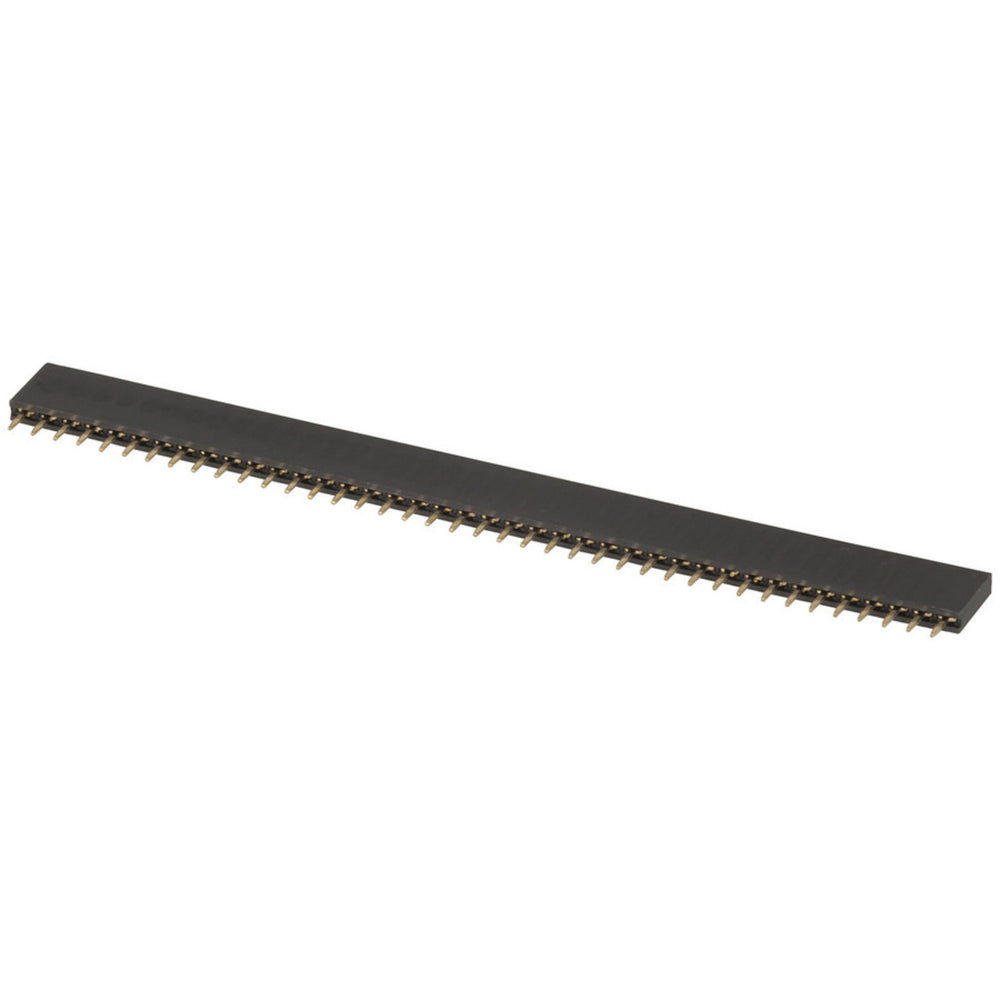 40 Pin Female Header Strip