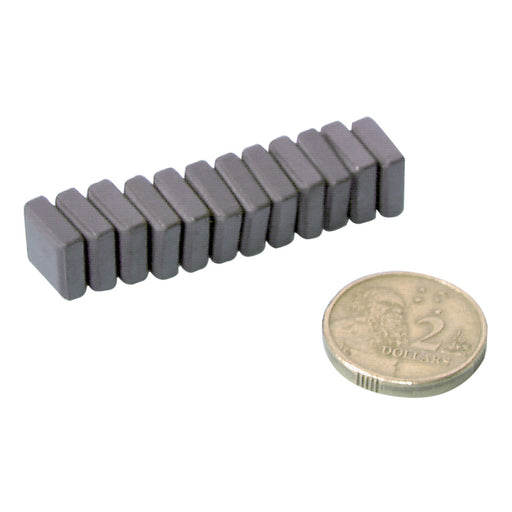 Ferrite Magnets - Pk.12