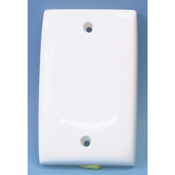 Large Blank Wallplate