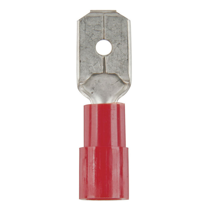 Male Spade - Red - Pk.8