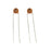 22pF 50VDC Ceramic Capacitors - Pack of 2