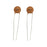 100nF 50VDC Ceramic Capacitors - Pack of 2