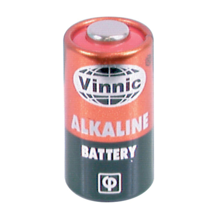 6 Volt Alkaline Battery