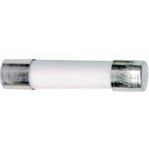 1A M205 Ceramic Fuse - Fast Blow