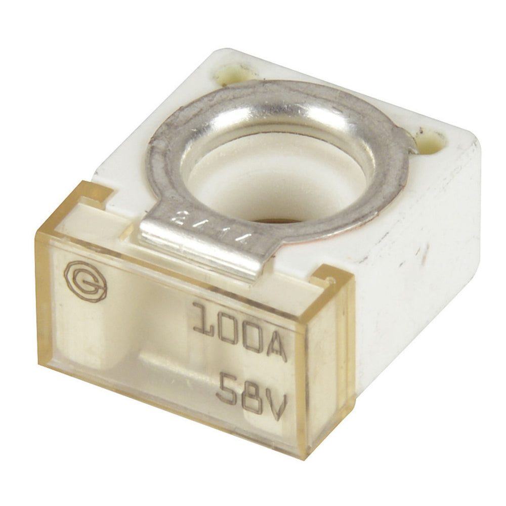 Battery Terminal Fuse 100A