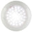 160 Lumens Ceiling Mount LED Light